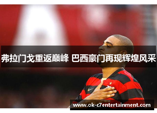弗拉门戈重返巅峰 巴西豪门再现辉煌风采